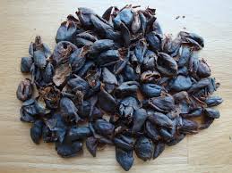 CAscara