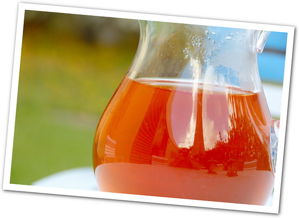 infuso cascara
